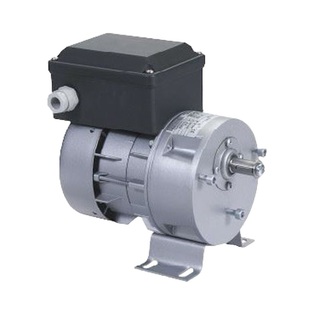 Rührwerksmotor R1C225F2BC